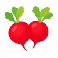 래디시 (방울무)