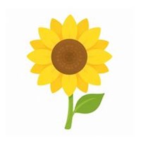 해바라기
